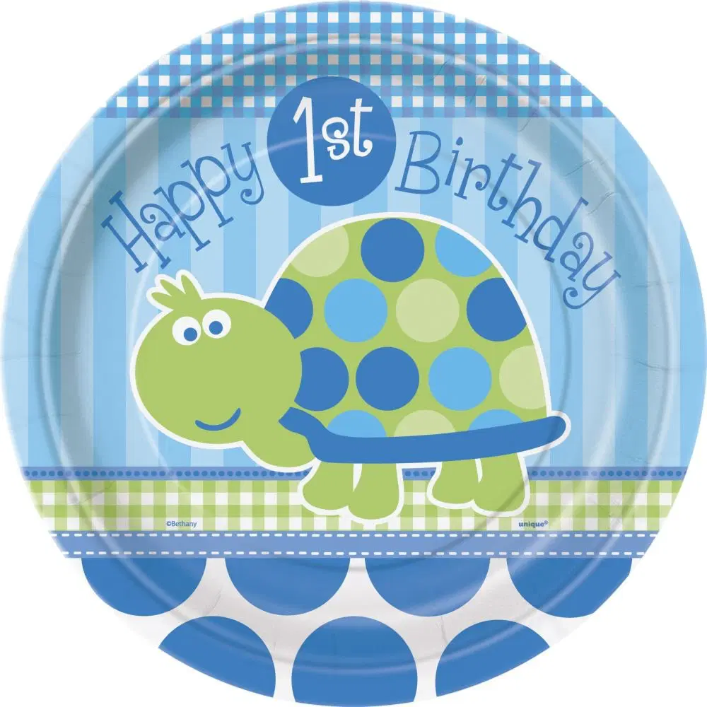 FIRST%20BDAY%20TURTLE%20TABAK%2023%20CM%20(8%20AD)