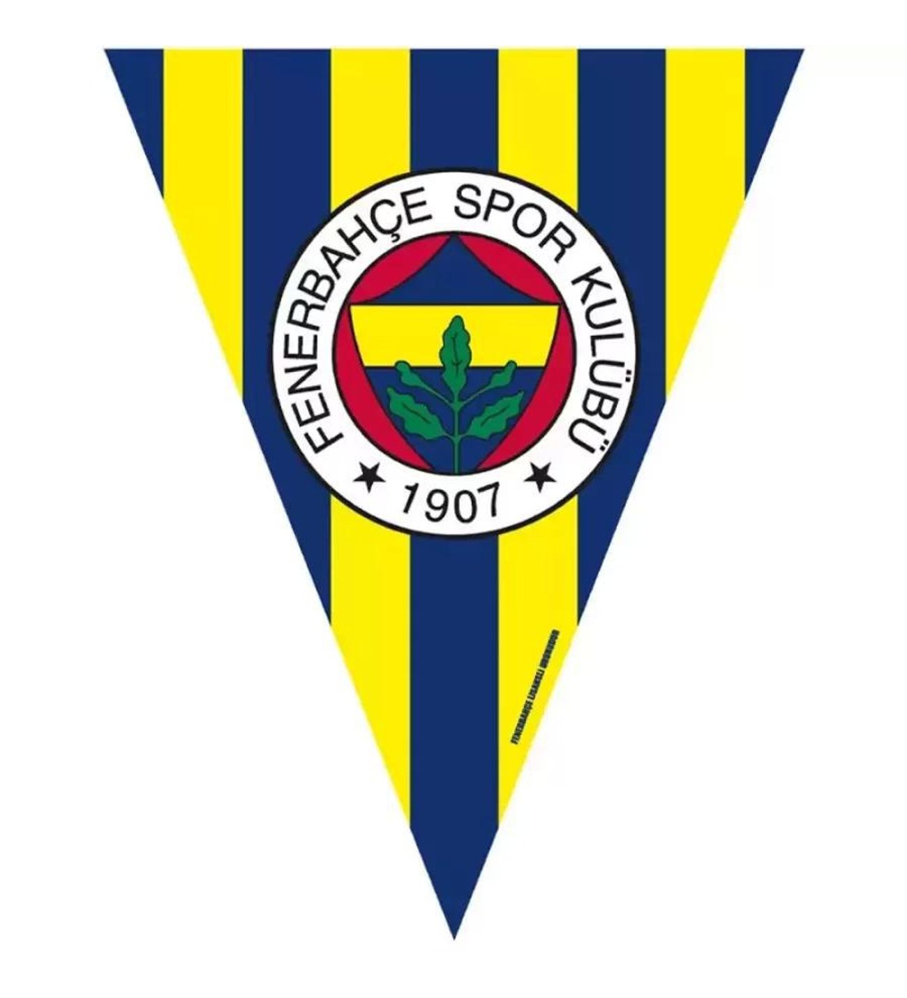 FENERBAHÇE%20LİSANSLI%20BAYRAK%20SET%20(2,90m)