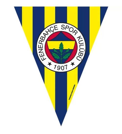 FENERBAHÇE LİSANSLI BAYRAK SET (2,90m)